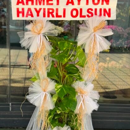 Sarmaşık Bitki Çiçeği